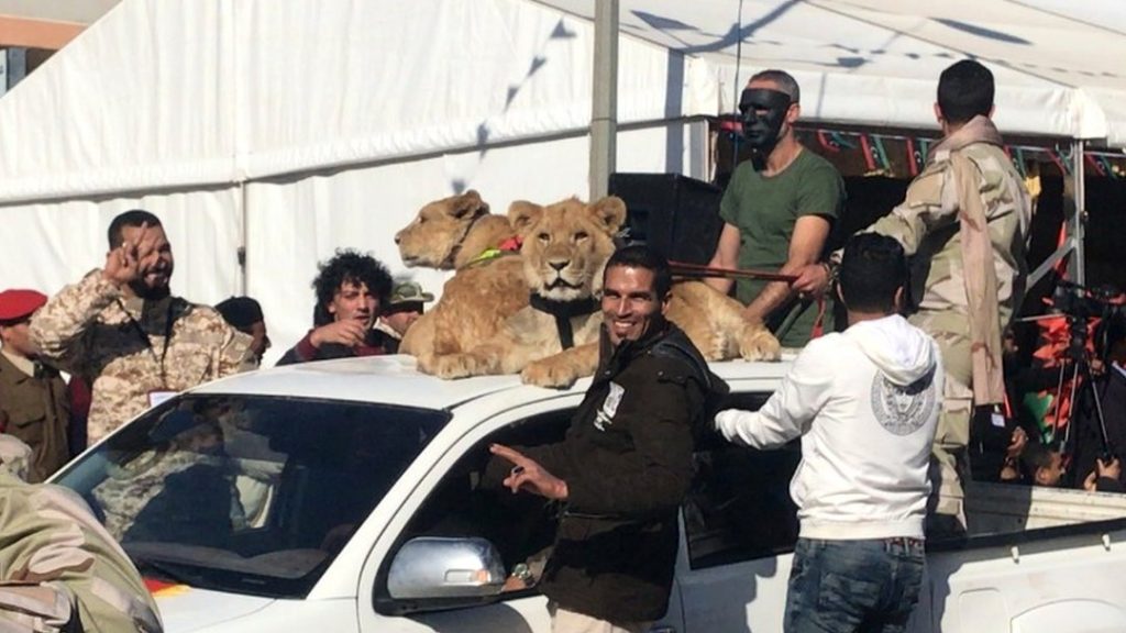 Altı kardeş ve aslanları Libya’da küçük bir kentte nasıl dehşet yaşattı?
