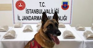 Atak, Zehir Tacirlerine Acımadı 14 Kilogram Uyuşturucu Madde Ele Geçirildi