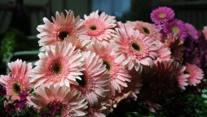 Çiçek sektöründe 2020’de 107 milyon dolarlık ihracat