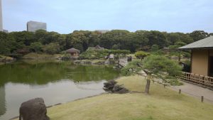 Tarihine bağlı, doğa ile iç içe gelişen bir dünya başkenti Tokyo