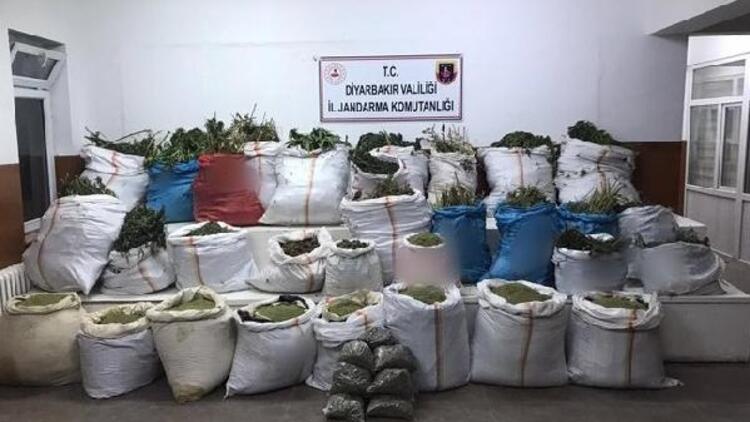 Diyarbakır’da Bir Yılda 55 Ton Esrar Ele Geçirildi