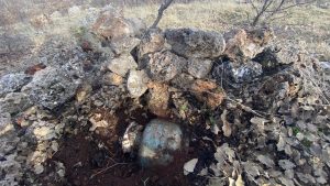 Mardin’de mevziye tuzaklanan EYP imha edildi