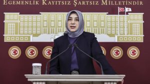 Özlem Zengin’den Akşener’e ‘hakaret’ tepkisi