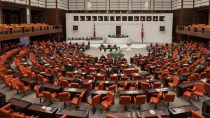 TBMM’nin bu haftaki gündemi “nadir görülen hastalıklar”