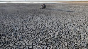 “Türkiye’de iklim değişikliğine inananların oranı yüzde 85”