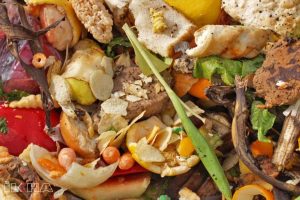 Türkiye’de her yıl 26 milyon ton gıda israf ediliyor