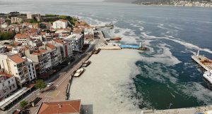 Prof. Dr. Büyükateş: Deniz salyalarının yoğun olduğu bölgelerde denize girilmesini konusunda uyardı