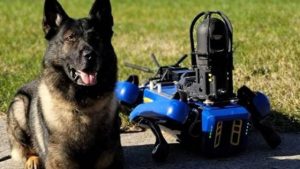 Robot köpek “Digidog”un görevi sonlandırıldı