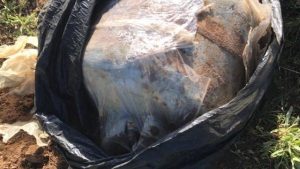 Bingöl’de 4 yer altı deposunda patlayıcı ve yaşam malzemesi bulundu