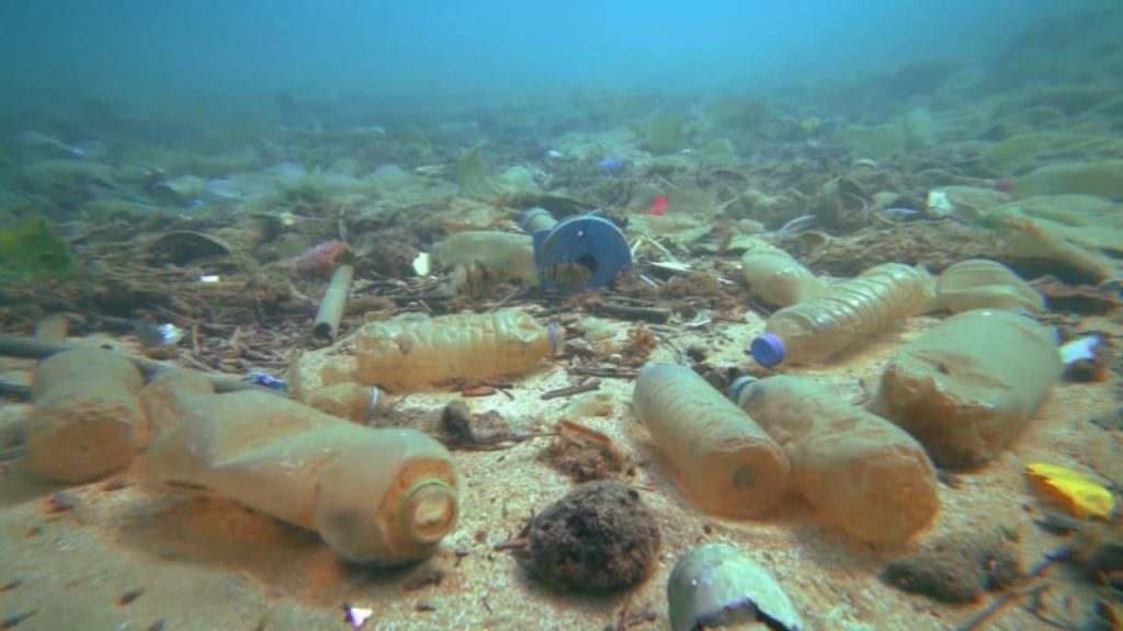 Salgınla birlikte doğa düşmanı plastiklerin kullanımı arttı