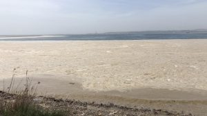 Deniz salyası tehdidi büyüyor