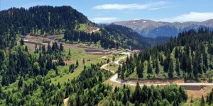 Karadeniz’de yaylaya göç başladı