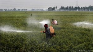 BM: Toprak kirliliği insan sağlığını tehdit eder boyutta