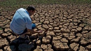 BM Dünya Gıda Programı: 41 milyon insan kıtlık riski altında