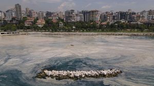 Marmara Denizi’nde müsilaj sonrası yeni tehlike hidrojen sülfür gazı mı?