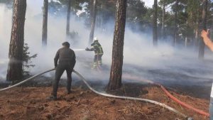 Sera atıklarının yakılması yangına sebep oluyor