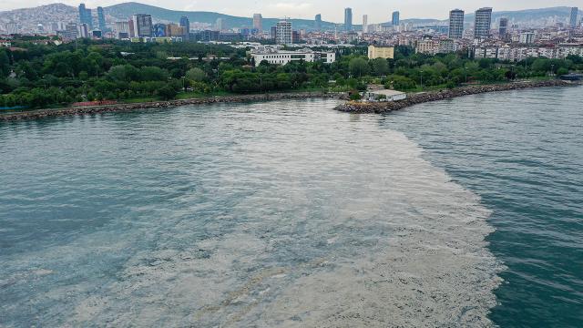 AK Parti’den ‘müsilaj için komisyon kurulsun’ önergesi
