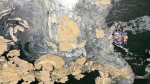 Müsilaj için Meclis Araştırması Komisyonu kuruldu