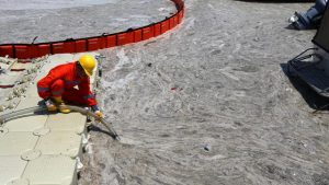 TÜBİTAK müsilaj sonuçlarını hafta ortası Bakanlığa sunacak