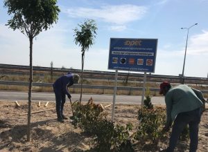 OPET’te kağıt slip dönemi sona eriyor yerine fidanlar dikiliyor