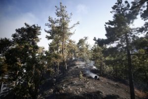 Kayseri’de ormanlara girişler 31 Ağustos’a kadar yasaklandı