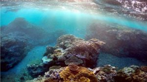 Çin ve Avustralya arasında UNESCO listesi tartışması