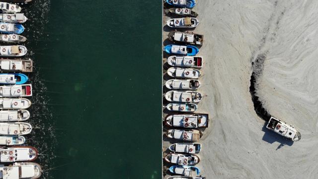 Marmara’da müsilaj yoğunluğu azalıyor