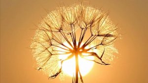 Bayramda hava nasıl olacak?