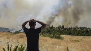 Orman yangınlarında iklim krizinin etkisi var mı? Yanan ormanlar nasıl ağaçlandırılacak?