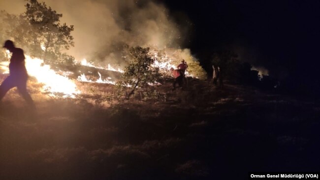 Tunceli ve Bingöl’de Yeni Orman Yangınları