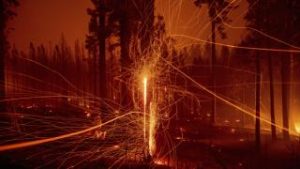 Dünya ateşten çembere mi yaklaşıyor?