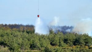 15 günde 285 orman yangını kontrol altına alındı