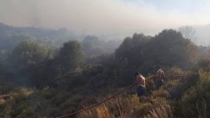 Datça’daki orman yangını kontrol altına alındı