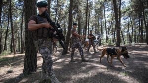 İstanbul’da ormanlık alanlardaki denetimler sürüyor