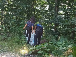Kocaeli Kartepe’de ormanlar kontrol altında