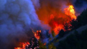 Terörün Somut ve Soyut Yeni Yöntemleri