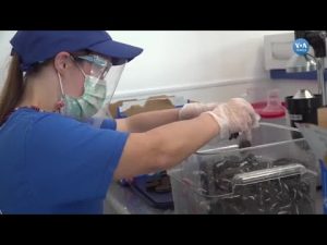 Engellileri İş Dünyasına Kazandıran Programlar