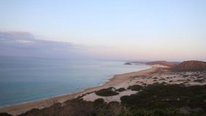 KKTC’de “petrol sızıntısı kıyılara ulaştı” endişesi