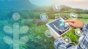 Dijital Su – Dijital Tarım