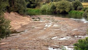 Tunca ve Meriç nehirlerinde korkutan kuraklık: Dip seviyede