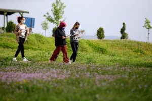 Aile ve Sosyal Hizmetler Bakanlığının kuruluşlarında Yetişen Gençlerin Üniversite Başarısı