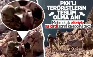 Mağarada saklanan teröristler teslim oldu