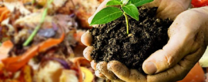 Atıksız Şehir-Topraktan Toprağa Biyobozunur Atık Projesi