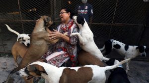 Türkiye’de Hayvanseverler Yasayı Yeterli Bulmuyor