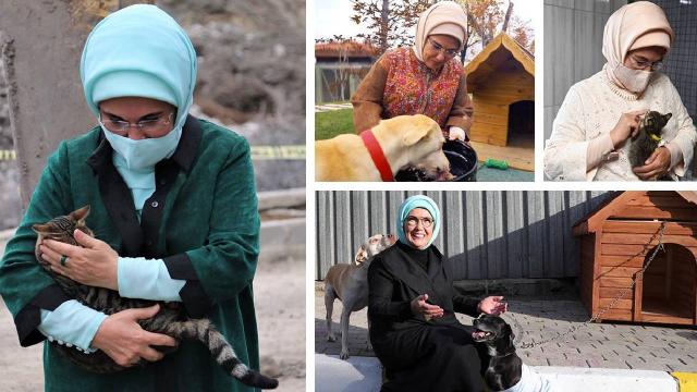 Emine Erdoğan’dan “Hayvanları Koruma Günü” paylaşımı
