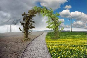 Dünyanın ateşi yükseliyor: İklim değişikliğinin aşısı biziz