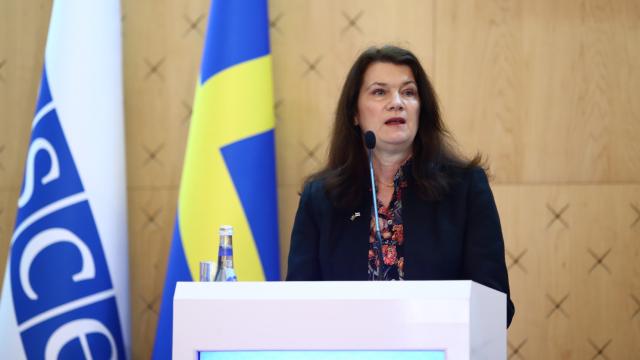 AGİT’ten Bosnalı Sırpların skandal kararına tepki