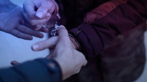 Pitbull dehşetine 3 tutuklama