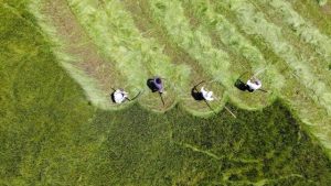 Çiftçiye tedbir paketi: 2,6 milyar lira ödenecek