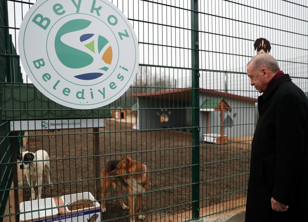 Cumhurbaşkanı Erdoğan, Beykoz Belediyesi Hayvan Rehabilitasyon Merkezi’nde